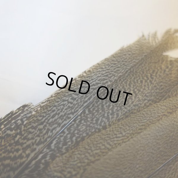 画像4: 【CANAL】 Speckled Pheasant コンプリートテール S (No.2) (4)