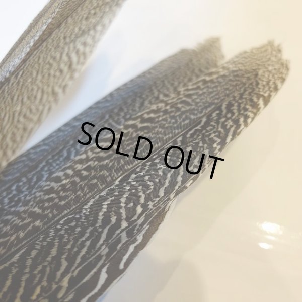 画像3: 【CANAL】 Speckled Pheasant コンプリートテール S (No.1) (3)