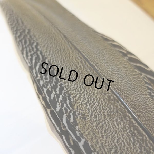 画像2: 【CANAL】 Speckled Pheasant コンプリートテール S (No.1) (2)