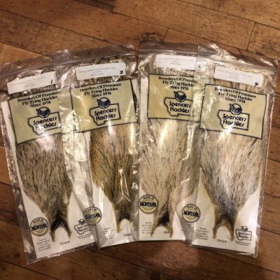 画像1: 【Spencer'sHackles】 Spencer Hackle Cock Neck Choice Cream Variant #3(SALE)