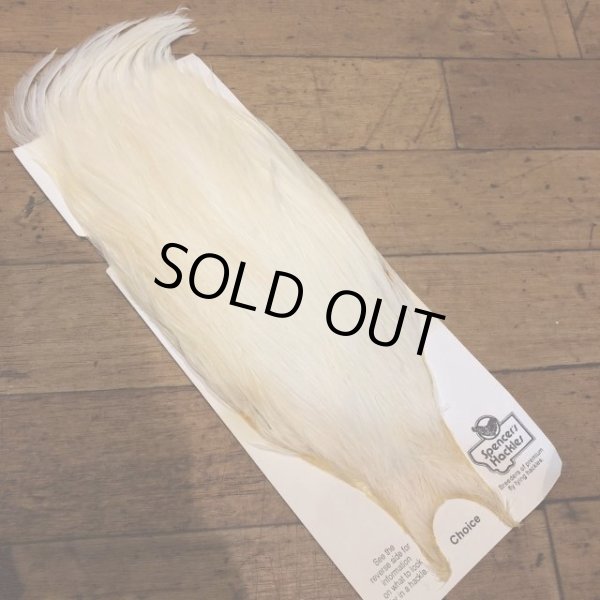 画像4: 【Spencer'sHackles】 Spencer Hackle Cock Neck Choice #3(SALE) (4)