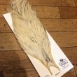 画像2: 【Spencer'sHackles】 Spencer Hackle Cock Neck Choice Cream Variant #3(SALE) (2)