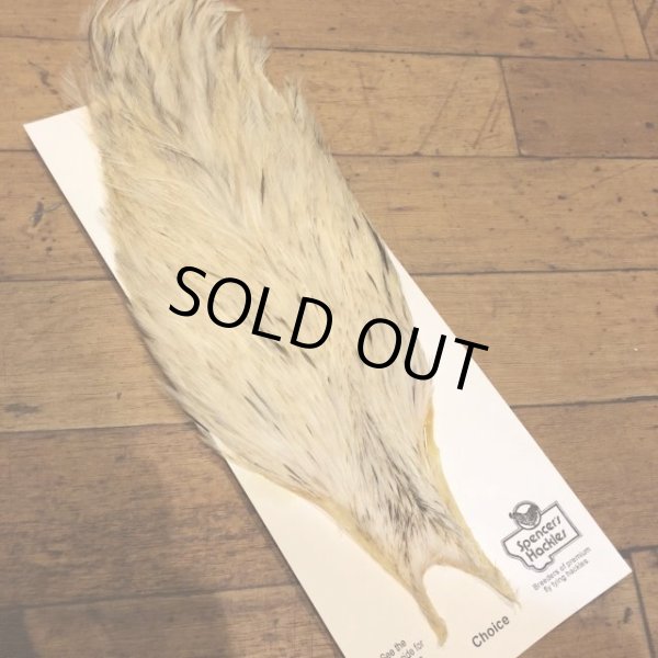 画像2: 【Spencer'sHackles】 Spencer Hackle Cock Neck Choice Cream Variant #3(SALE) (2)