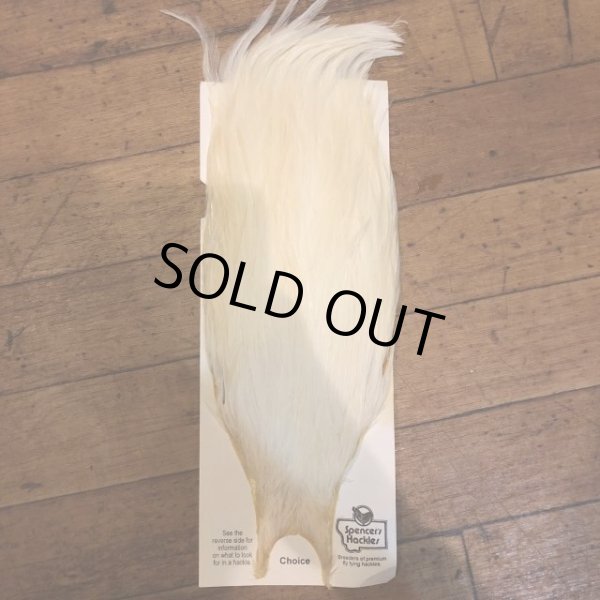画像3: 【Spencer'sHackles】 Spencer Hackle Cock Neck Choice #3(SALE) (3)