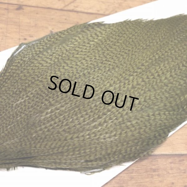 画像3: 【Spencer'sHackles】 Grizzly Bleached Blondes Cock Neck #2 (SALE) (3)