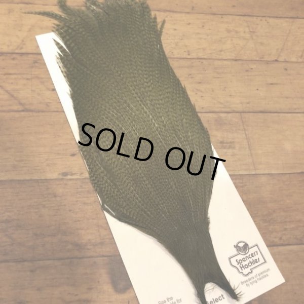 画像2: 【Spencer'sHackles】 Grizzly Bleached Blondes Cock Neck #2 (SALE) (2)