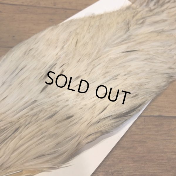 画像3: 【Spencer'sHackles】 Spencer Hackle Cock Neck Choice Cream Variant #3(SALE) (3)