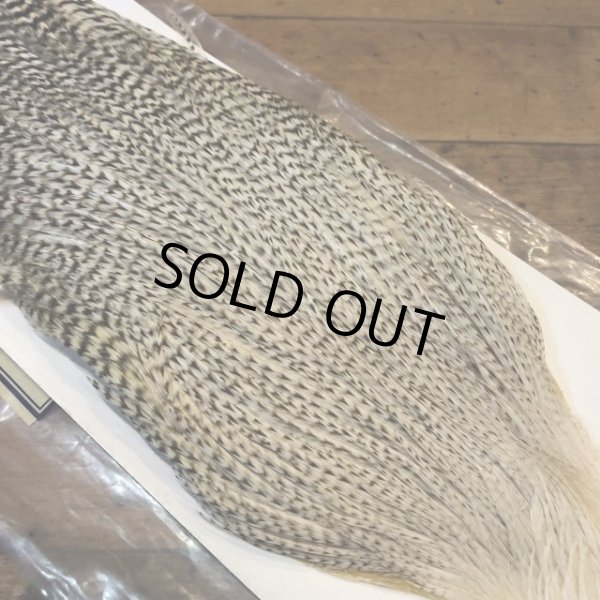 画像2: 【Spencer'sHackles】 Grizzly white Cock Neck Select #2 (SALE) (2)