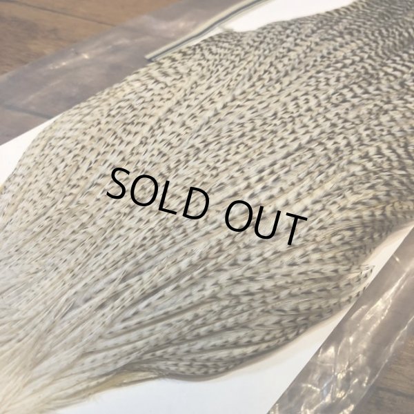 画像3: 【Spencer'sHackles】 Grizzly white Cock Neck Select #2 (SALE) (3)