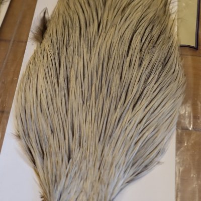 画像3: 【Spencer'sHackles】 Spencer Hackle Cock Neck Select Badger Natural #2(SALE)  