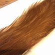 画像2: 【Spencer'sHackles】 1/2 Cock Neck Choise Ginger #3 (SALE) (2)