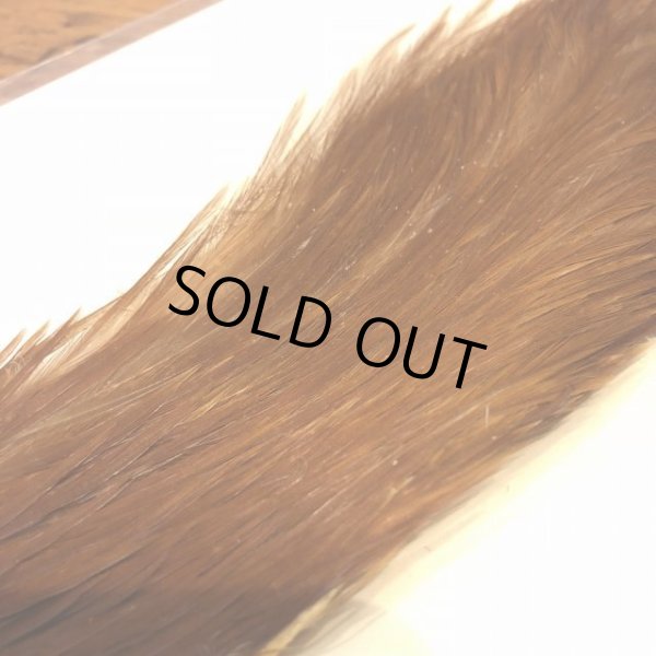 画像2: 【Spencer'sHackles】 1/2 Cock Neck Choise Ginger #3 (SALE) (2)