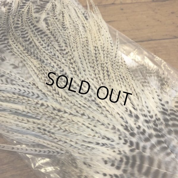 画像3: 【Spencer'sHackles】 Cock Saddle Choise BARRED WHITE #3 (SALE) (3)