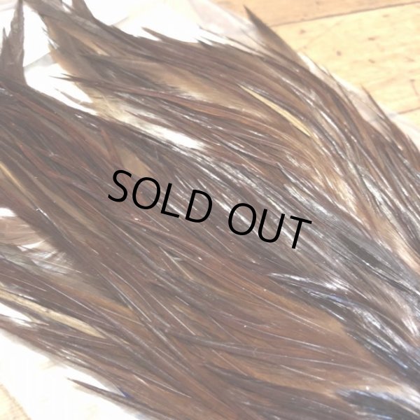 画像3: 【Spencer'sHackles】 Cock Saddle Choise Coachman Brown #3 (SALE) (3)