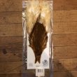 画像1: 【Spencer'sHackles】 Choice BROWN HEN NECK #3(SALE) (1)