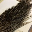 画像2: 【Spencer'sHackles】 1/2 Cock Neck Choise Badger #3 (SALE) (2)