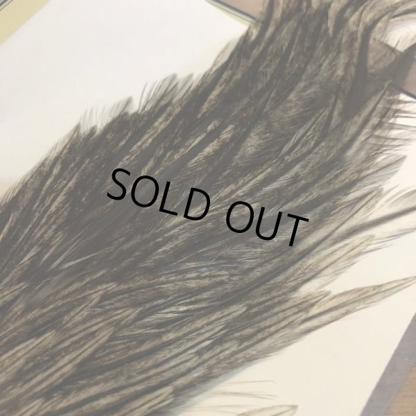 画像2: 【Spencer'sHackles】 1/2 Cock Neck Choise Badger #3 (SALE) (2)