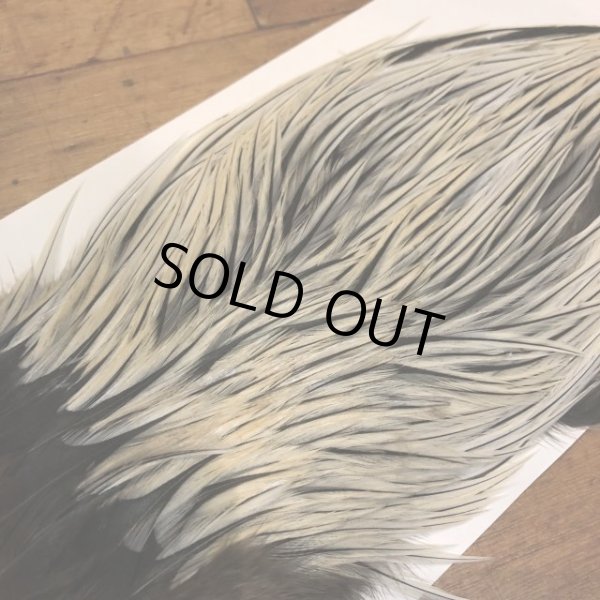 画像2: 【Spencer'sHackles】 Cock Saddle Extra Select Badger #1 (SALE) (2)