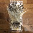 画像1: 【Spencer'sHackles】 Cock Saddle Choise BARRED WHITE #3 (SALE) (1)