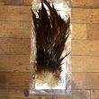 画像1: 【Spencer'sHackles】 Cock Saddle Choise Coachman Brown #3 (SALE) (1)