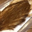 画像2: 【Spencer'sHackles】 Choice BROWN HEN NECK #3(SALE) (2)