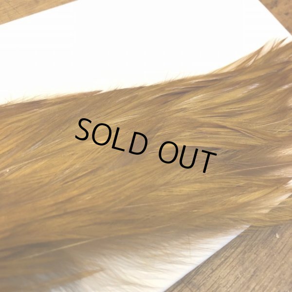 画像3: 【Spencer'sHackles】 1/2 Cock Neck Select Ginger #2 (SALE)  (3)