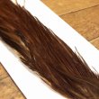 画像2: 【Spencer'sHackles】 1/2 Cock Neck Choise Brown #3 (SALE)  (2)