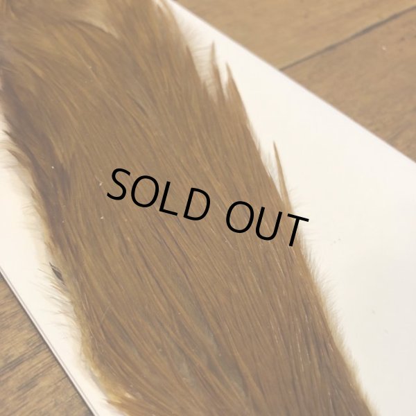 画像2: 【Spencer'sHackles】 1/2 Cock Neck Select Ginger #2 (SALE)  (2)