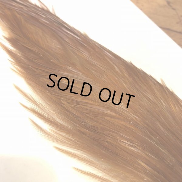 画像3: 【Spencer'sHackles】 1/2 Cock Neck Choise Ginger #3 (SALE) (3)