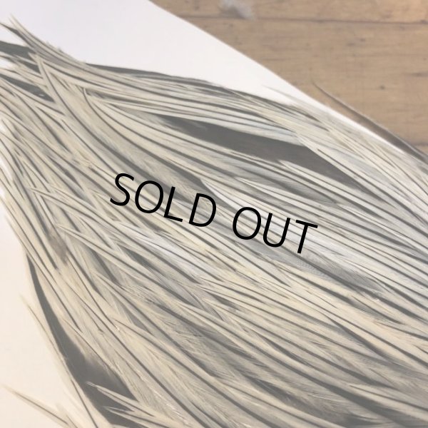 画像3: 【Spencer'sHackles】 Cock Saddle Extra Select Badger #1 (SALE) (3)