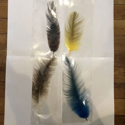 画像2: Rhea Feather Small