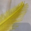 画像2: Rhea Feather Large (2)