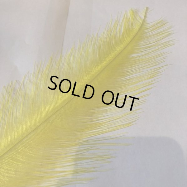 画像2: Rhea Feather Large (2)