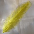 画像1: Rhea Feather Large (1)