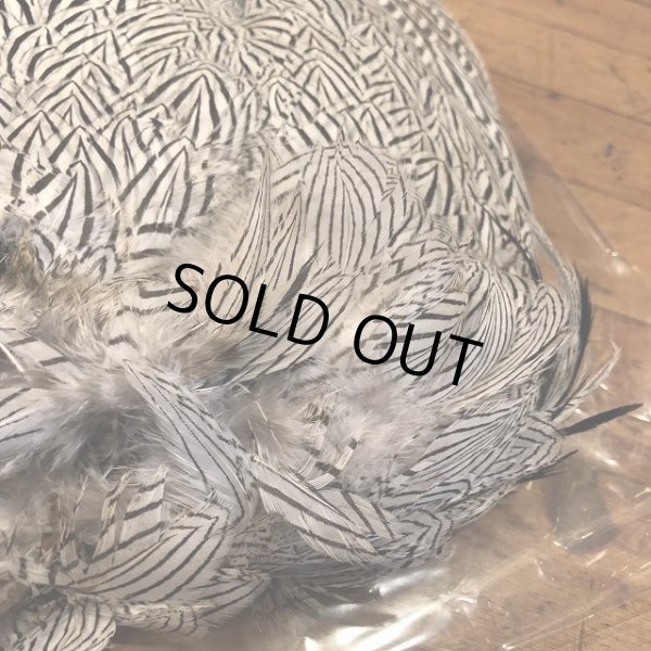 画像3: 【ANGLE】 SILVER PHEASANT BODYSKIN (3)