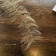 画像4:  【Enrico Puglisi】 EP Streamer Brush w/Micro Legs (4)