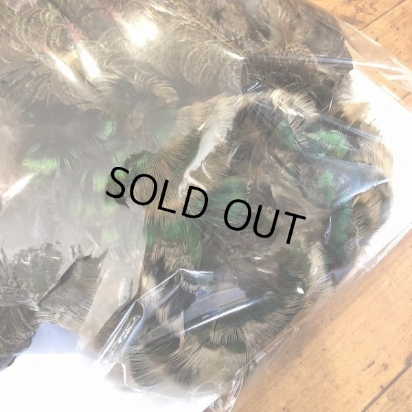 画像2: 【CANAL】 PEACOCK IMMATURE コンプリート(2) (2)