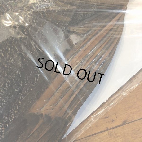 画像3: 【CANAL】 PEACOCK IMMATURE コンプリート(2) (3)