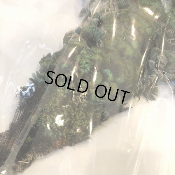 画像2: 【CANAL】 PEACOCK IMMATURE コンプリート(1) (2)