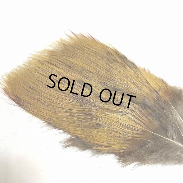 画像2: 【CANAL】 GOLDEN PHEASANT RUMP (2)