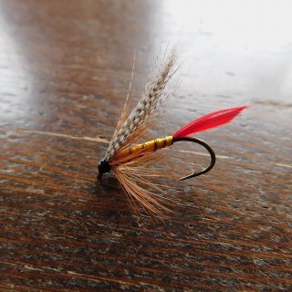 ATLANTICFLIES】 LeBlanc's Aldo Salmon