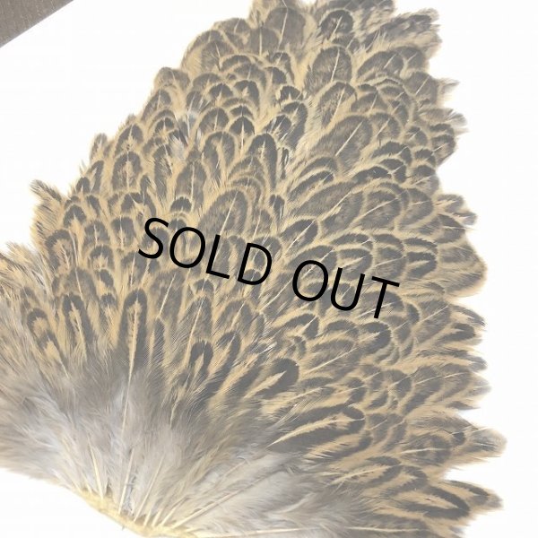 画像3: 【ANGLE】 ヘンハックル サドル (3)