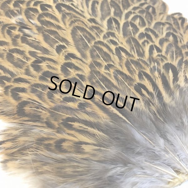 画像4: 【ANGLE】 ヘンハックル サドル (4)