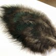 画像2: 【CANAL】 PEACOCK MARABOU PATCH (2)