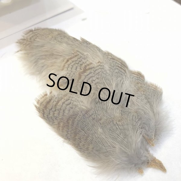 画像2: 【CANAL】 PARTRIDGE GREY NECK PATCH(パートリッジ) (2)