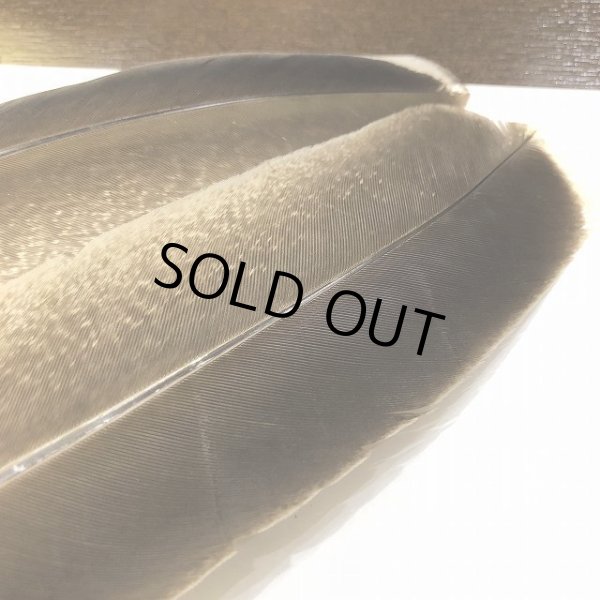 画像2: 【CANAL】 Turkey Quill NA BLACK NO.4(ターキークイル) (2)