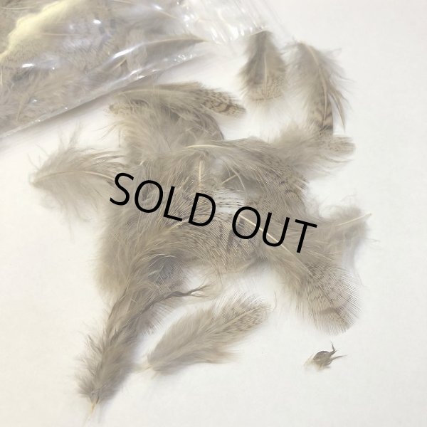 画像2: 【CANAL】 PARTRIDGE BROWNBACK BULK (パートリッジ) (2)