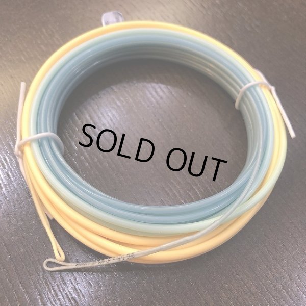 画像3: 【RIO】INTOUCH SKAGIT MAX GAMECHANGER F/H/I (3)