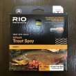 画像1: 【RIO】 InTouch Trout Spey(フルライン)(SALE) (1)
