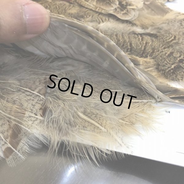 画像4: 【CANAL】 Hungarian Partridge Complete (4)